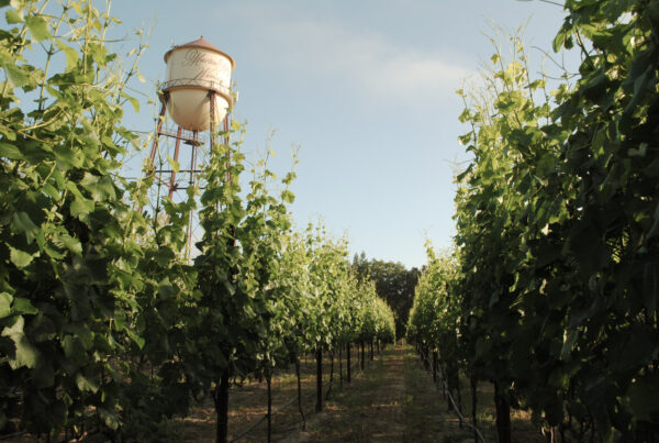 Martin Ray Estate and Historic Water Tower