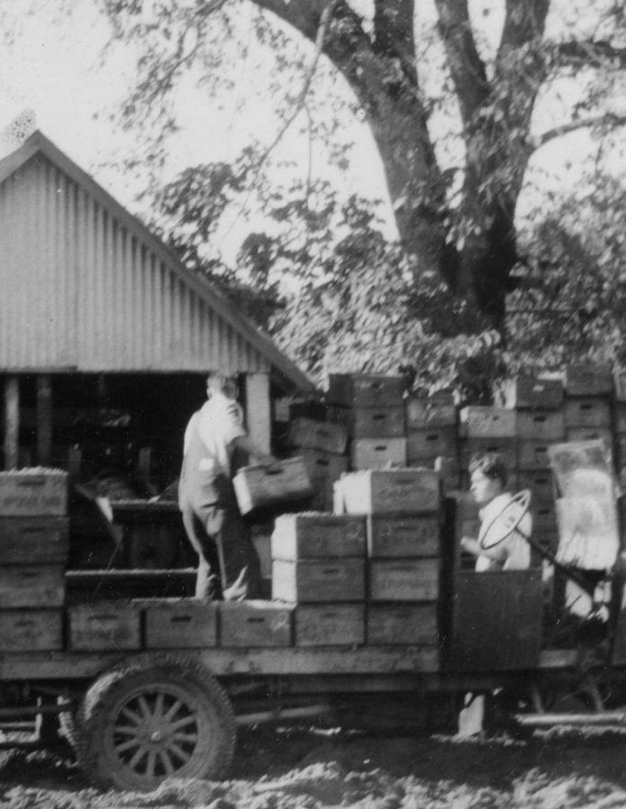 1896 — Foppiano Winery founded