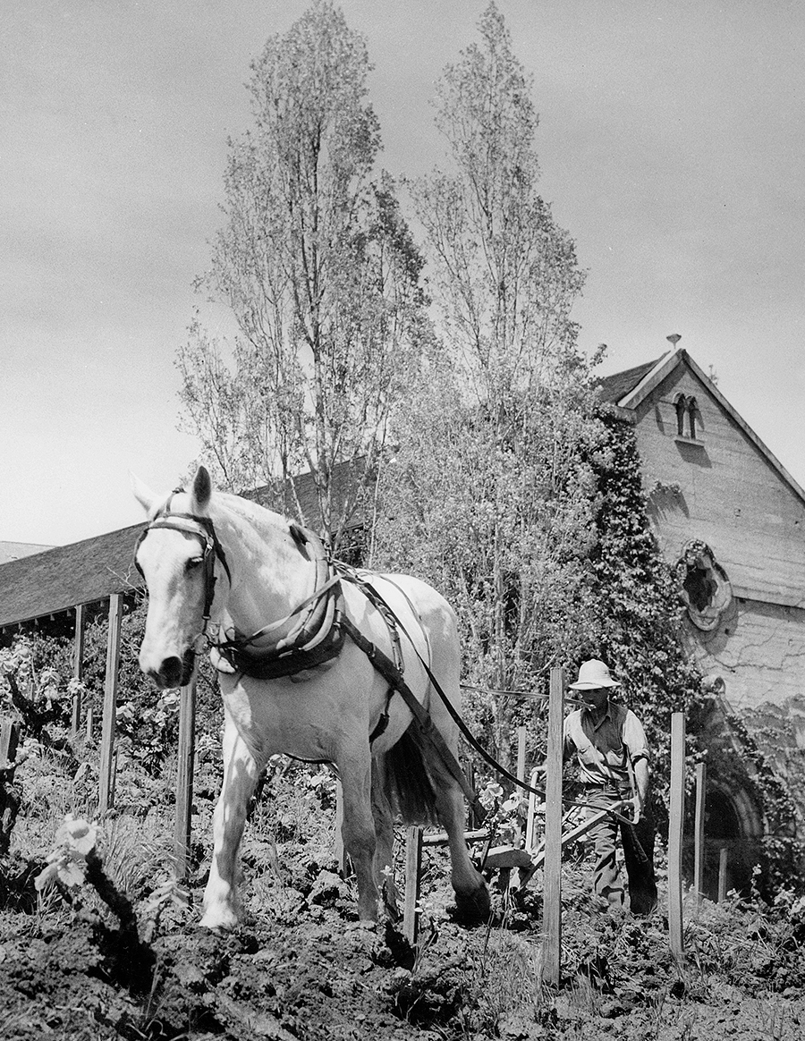 1943 — Martin Ray Winery, founded