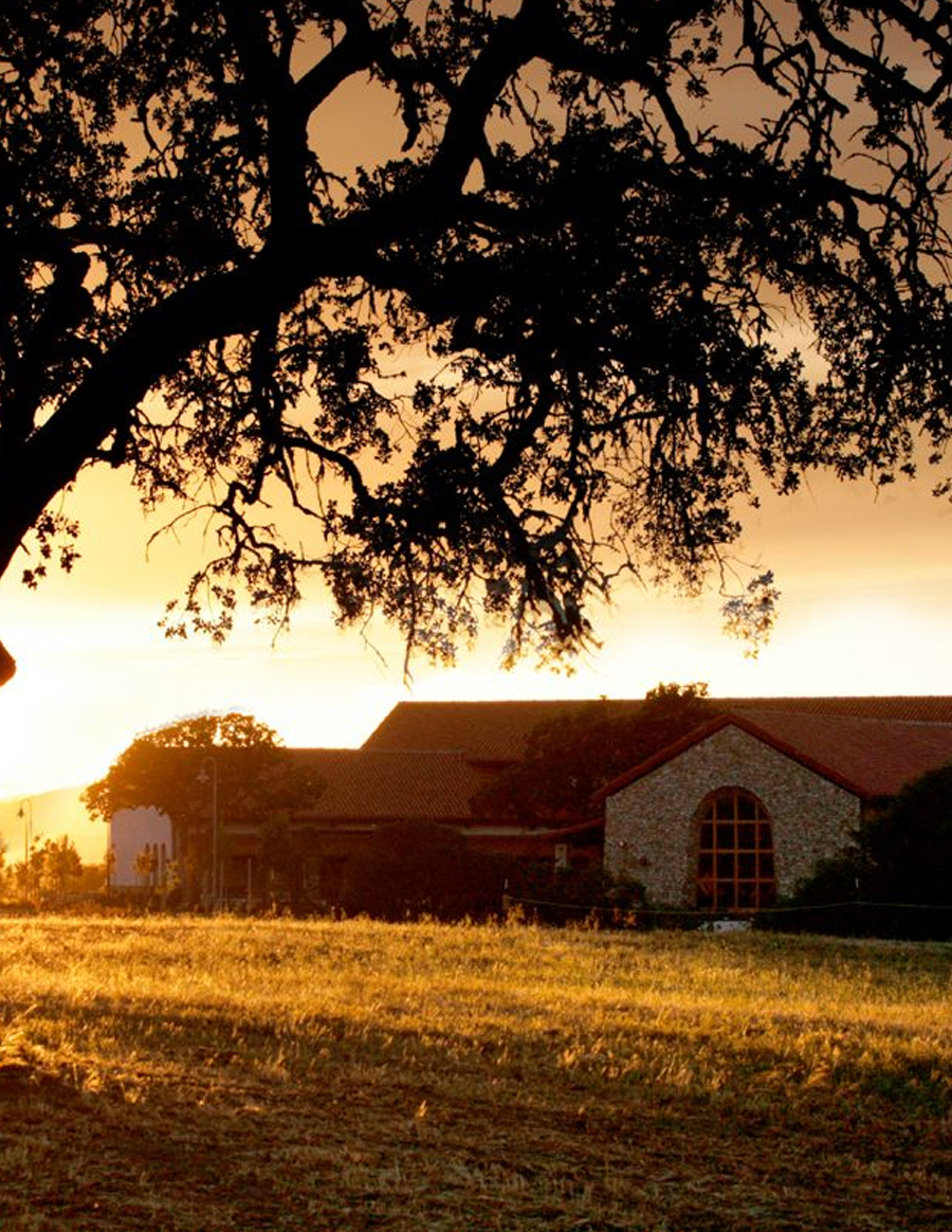 1998 — Vina Robles founded by Swiss entrepreneur Hans Nef