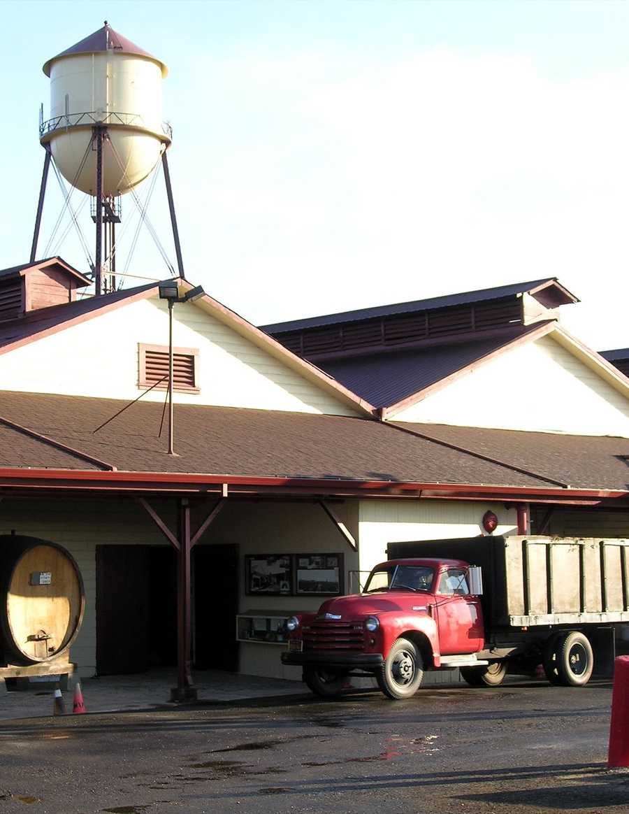 2003 — Martin Ray’s modern home is established